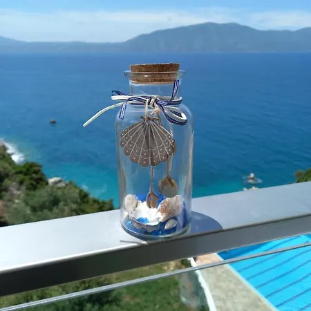Magic View